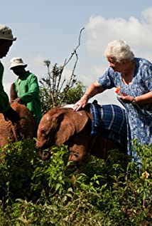 Daphne Sheldrick