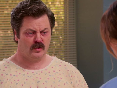 Ron Swanson