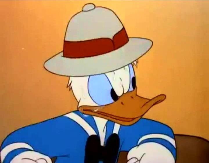 Donald Duck