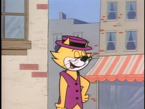 Top Cat