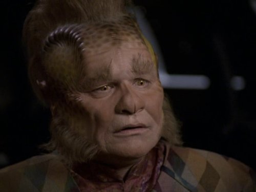 Neelix