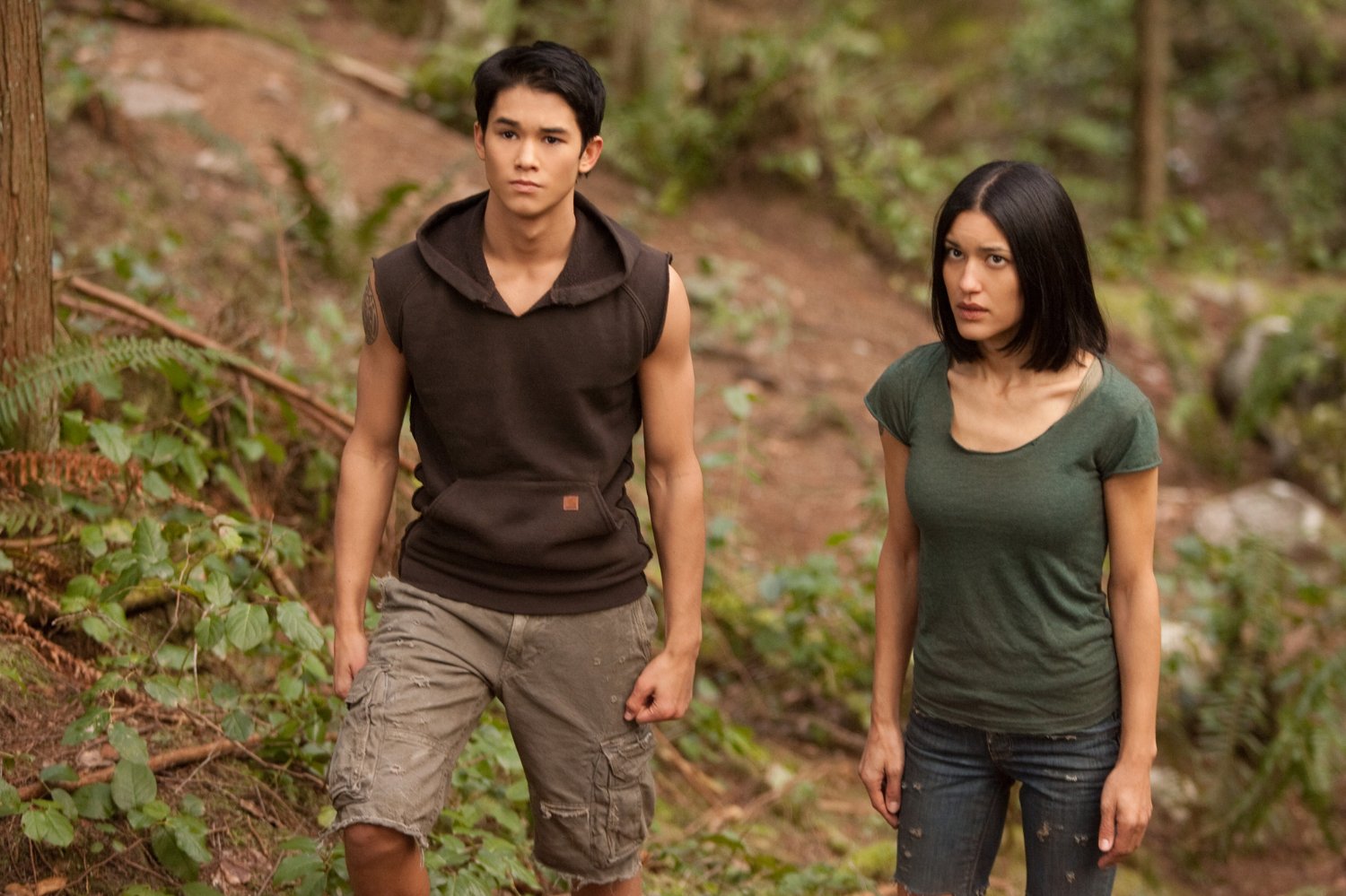Leah Clearwater (Twilight character)