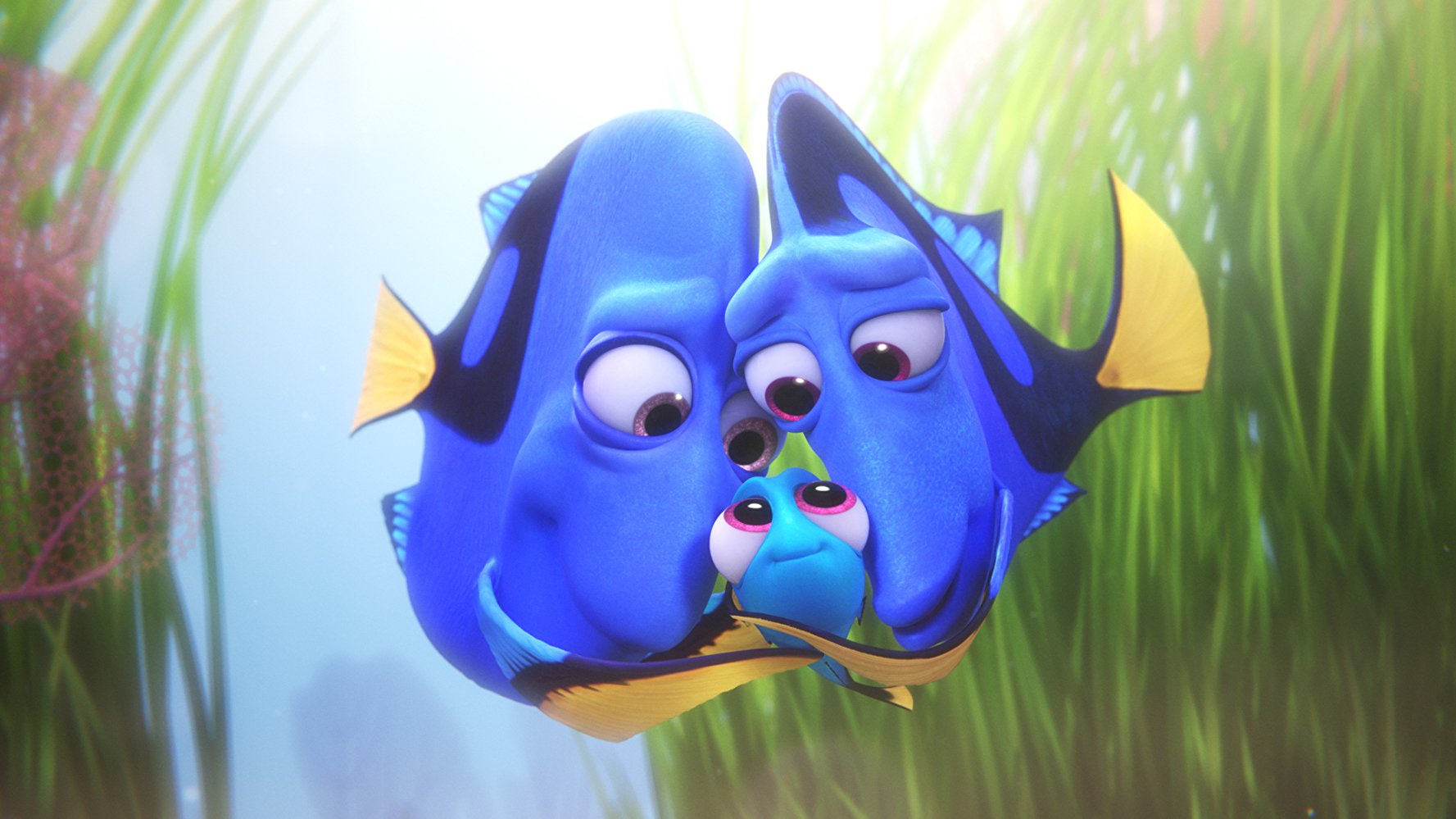 Dory