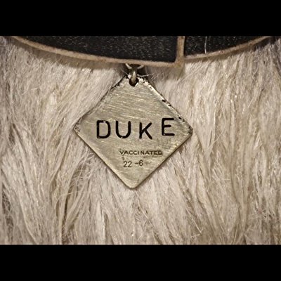 Duke