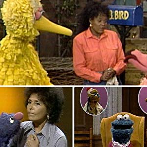 Big Bird, Oscar the Grouch, Oscar, Granny Bird, Bruno the Trashman, Bennett Snerf, Adrienne, Annoucer, Anything Muppets, Big Bird & Oscar...