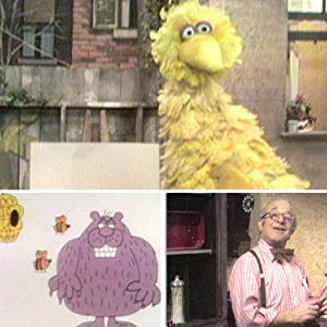 Big Bird, Oscar the Grouch, Oscar, Granny Bird, Bruno the Trashman, Bennett Snerf, Adrienne, Annoucer, Anything Muppets, Big Bird & Oscar...