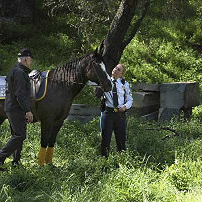 Leroy Jethro Gibbs